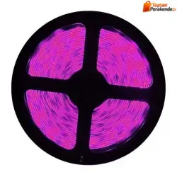 Cata-CT-4470-10-Cip-Ic-Mekan-Serit-Led-Pembe-Isik.webp Cata CT-4470 10 Çip İç Mekan Şerit Led Pembe Işık
